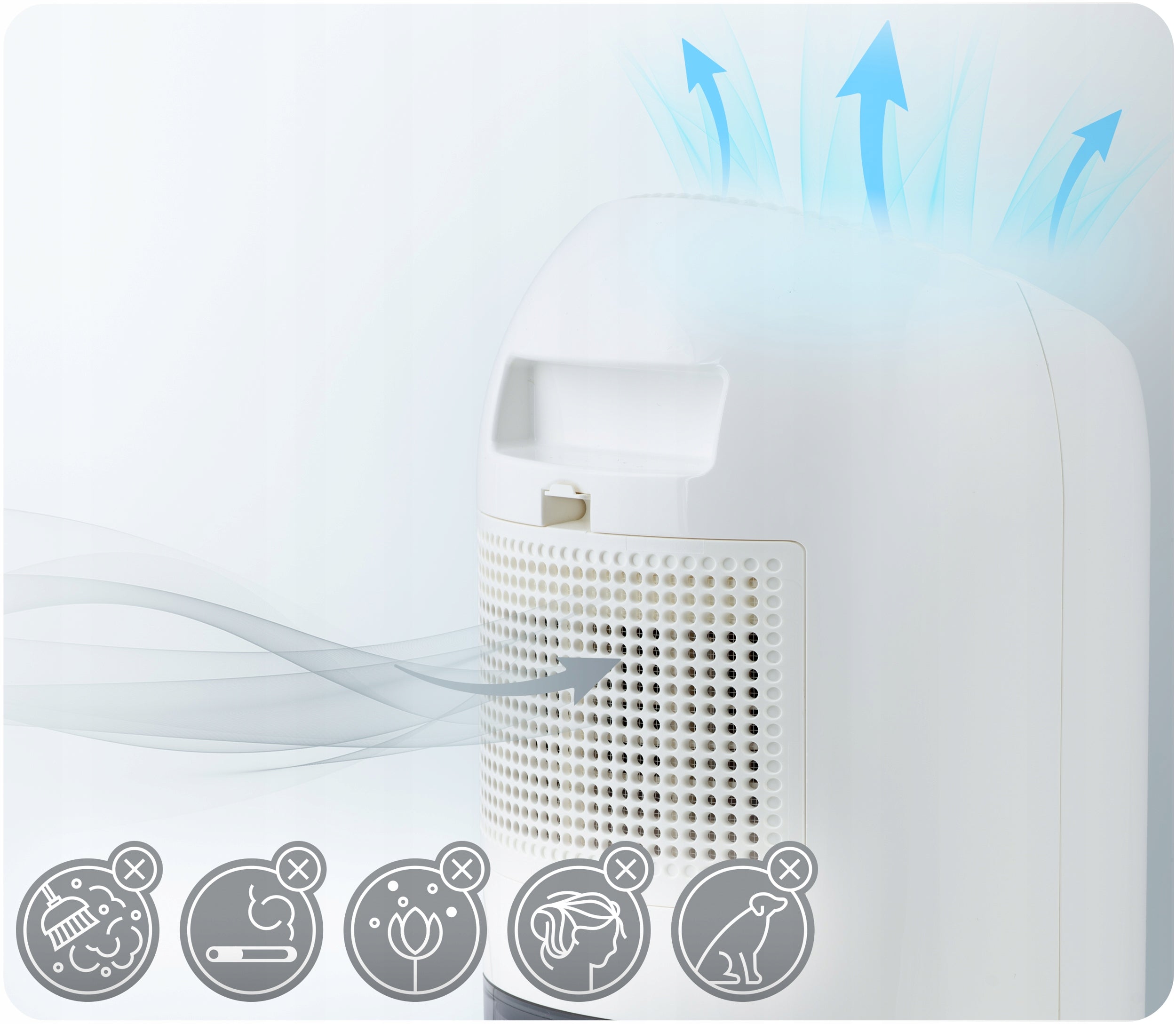 DEHUMIDIFIER MOISTURE ABSORBER 60W QUIET 34dB TIMER LED Berdsen Model BD-529
