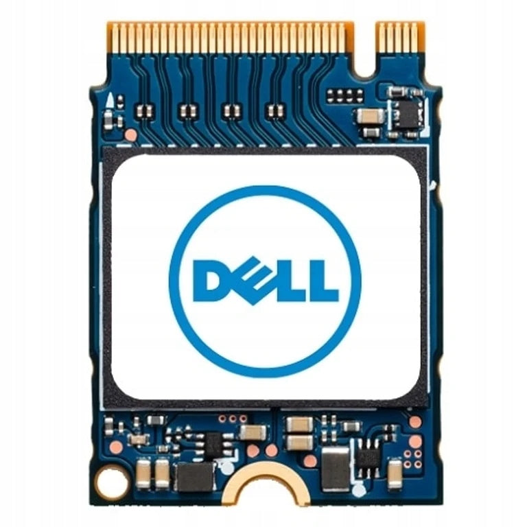 DELL AB673817 SSD 1TB M.2 PCI Express NVMe