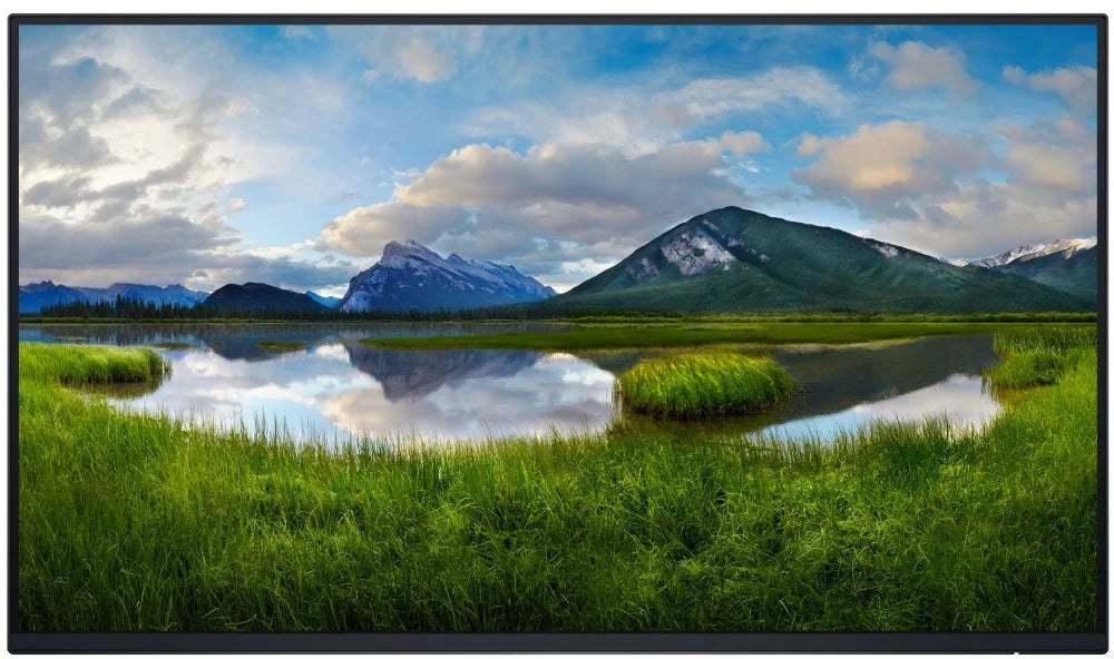 DELL Professional P2425H (210-BMTB) - BEZ STOJANU