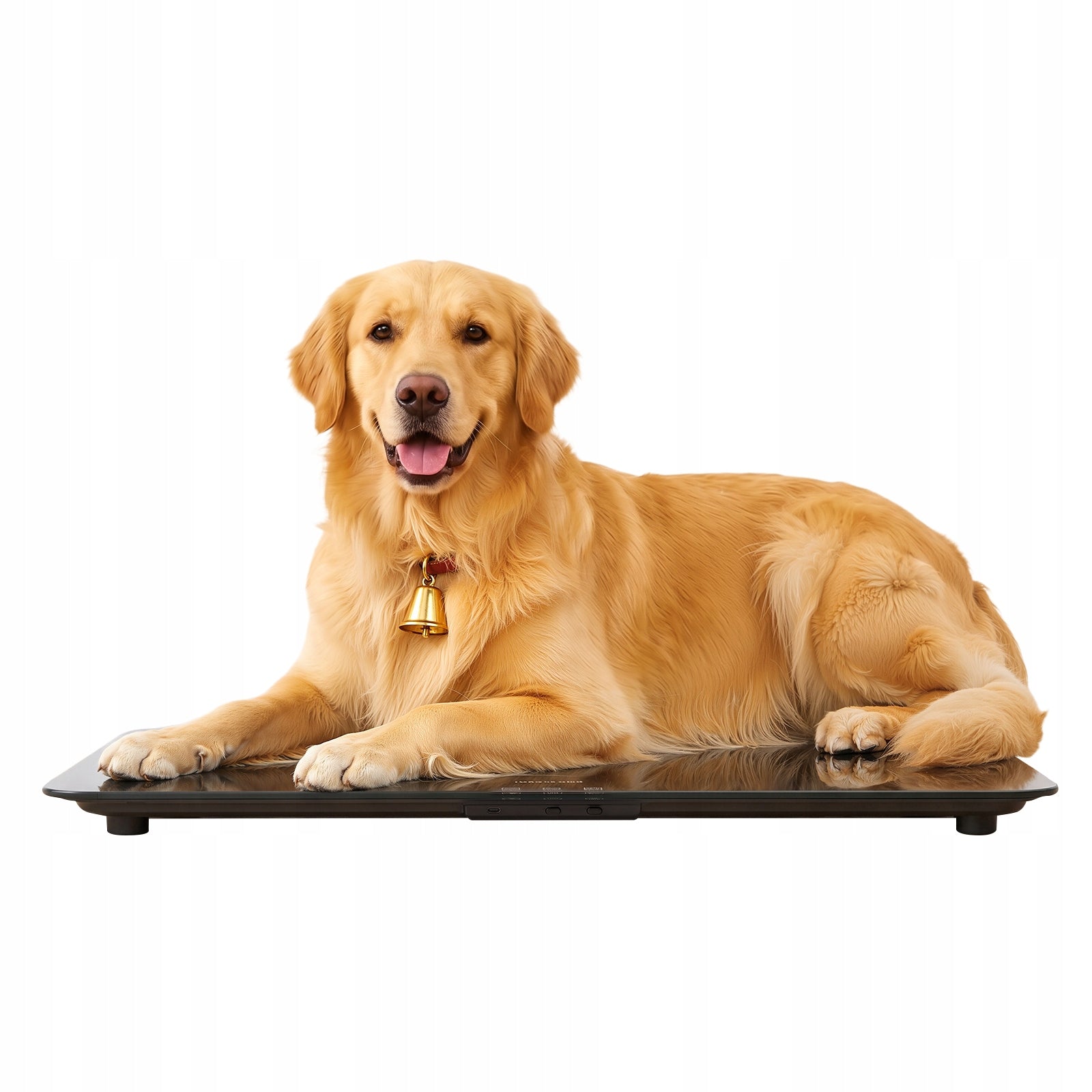 DIGITAL PET SCALE 69*33CM FOR ANIMAL WITH LED SCREEN, 50G-100KG, BLACK