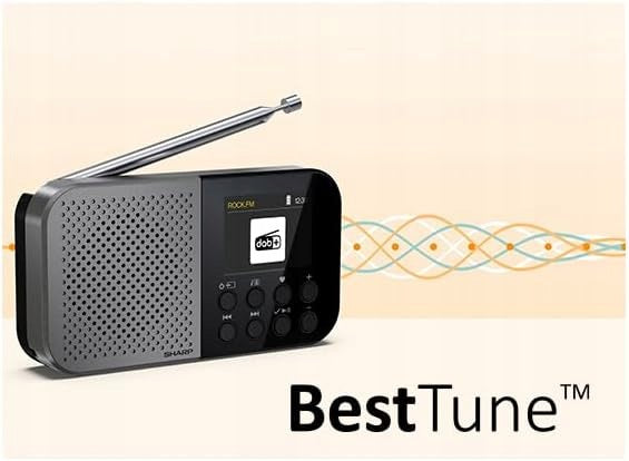DIGITAL RADIO SHARP OSAKA DR-P520(GY) ACCUMULATOR DAB+ BLUETOOTH FM Manufacturer code DR-P520(GY)