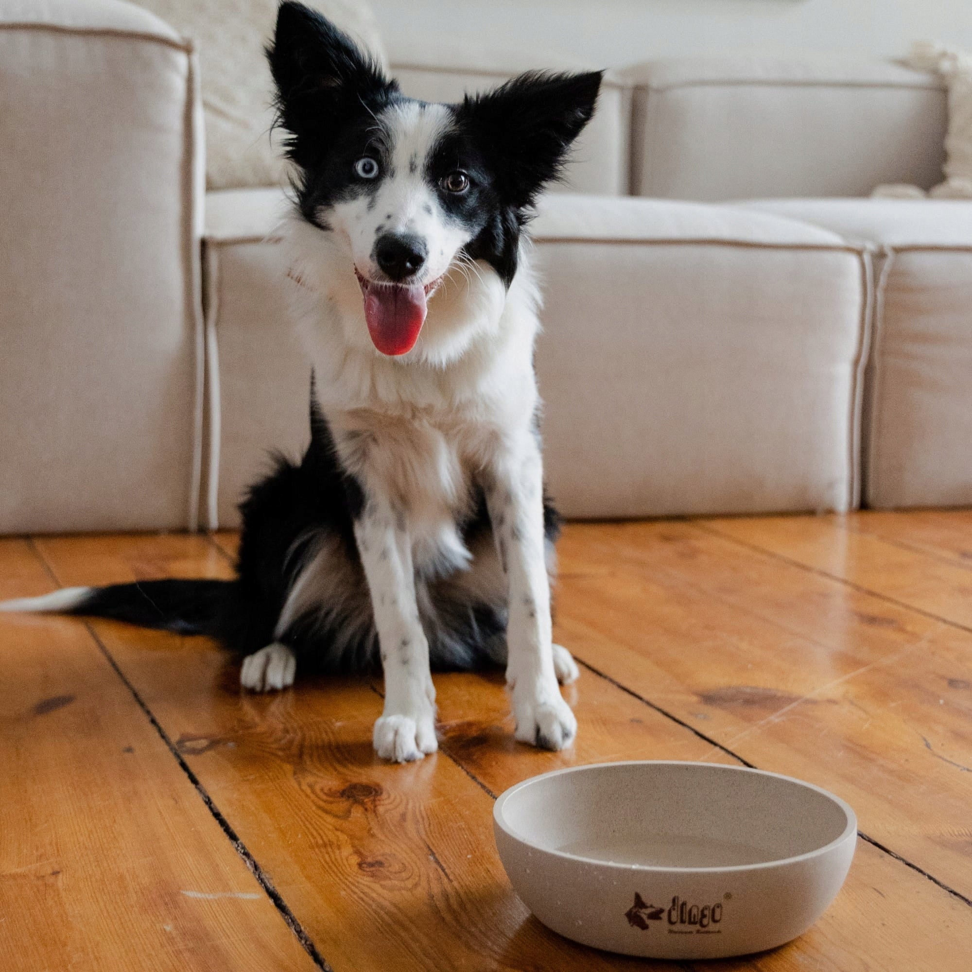 DINGO Bamboo fiber bowl non-slipfor dog 930 ml Trade name Dingo Miska bambusowa dla psa i kota 0,93l