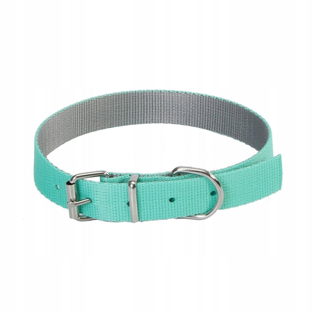DINGO DOG COLLAR ENERGY SILVER 2,5X55 MINT