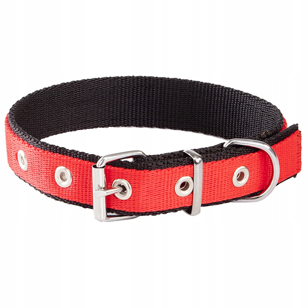 DINGO DOG COLLAR EXTRA TWO-TONE 2,5X65 CM
