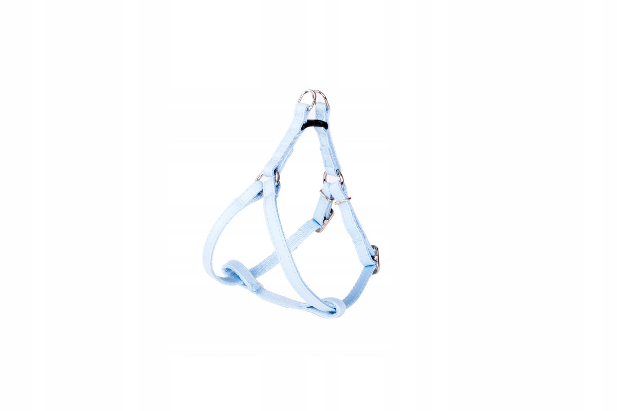 DINGO DOG HARNESS FRED BASIC SIZE.40 BLUE