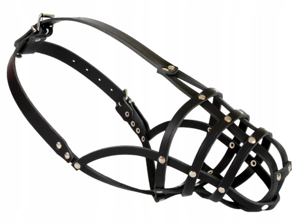 DINGO Dog Leather muzzle – riveted