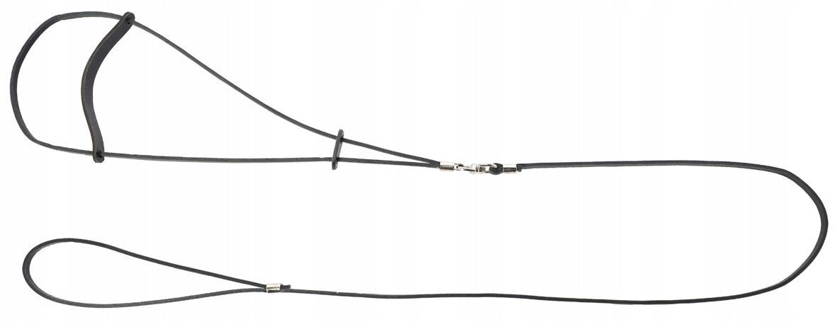 DINGO Exhibition leather leash - ring 0,6 / 150 cm black