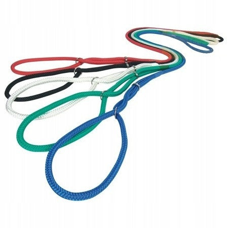 DINGO Ring display leash 0,4/150cm - red