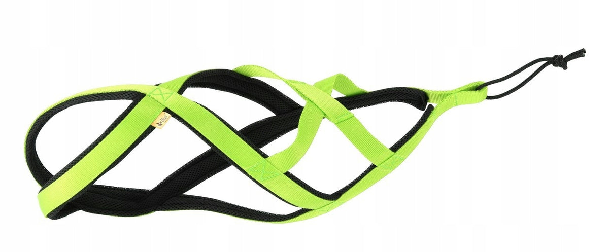 DINGO Sled Harness for Running with Dog - Green M