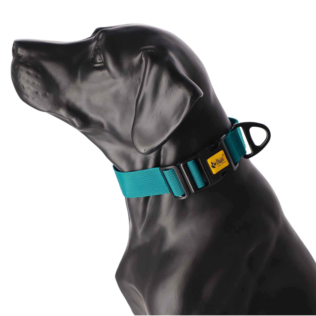 DINGO WIDE DOG COLLAR ADJUSTABLE 4 CM 37-61 CM SEA Packaging status original