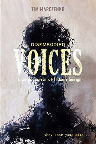 Disembodied Voices: True Accounts of Hidden Beings: True Accounts of Hidden Beings