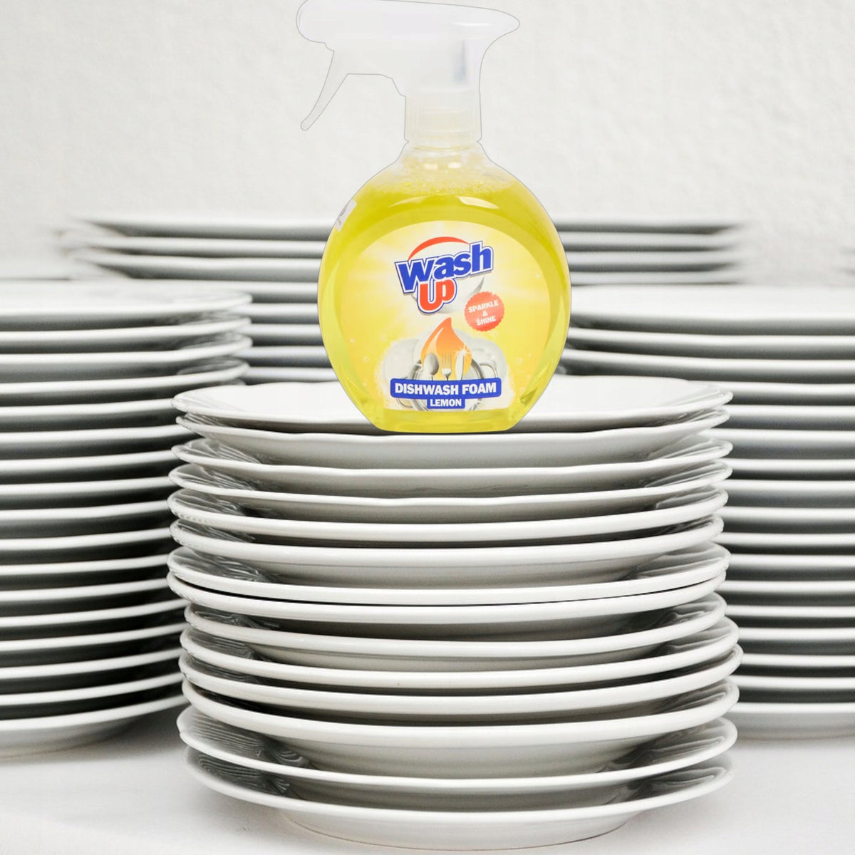 DISHWASHER CLEANER Packaging status original