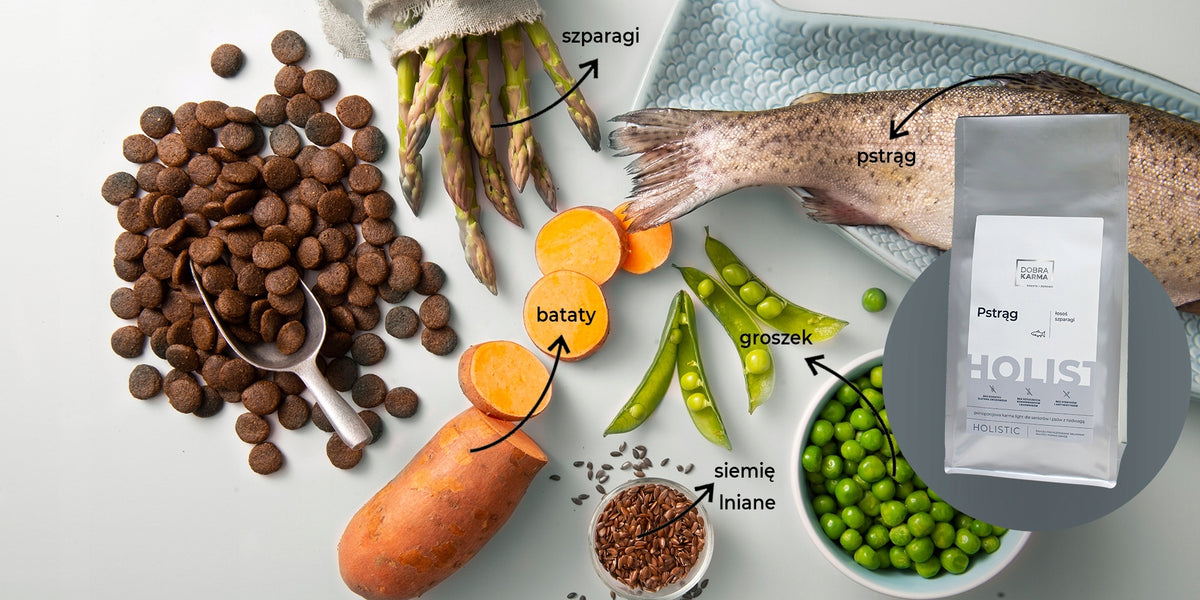DOBRA KARMA for Dog Light Senior Weight Loss Grain Free 50% Meat TROUT 2kg Manufacturer code 5906638170120