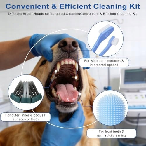DOG AND CAT TOOTHBRUSHES SET OF 10 DOUBLE TRIPLE Brand DlaPsa