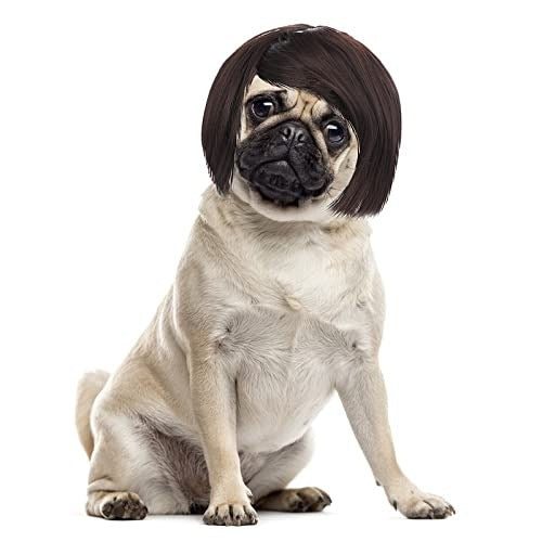 DOG AND CAT WIG FUN COSPLAY ADJUSTABLE FOR Birthday Gift Brand no brand
