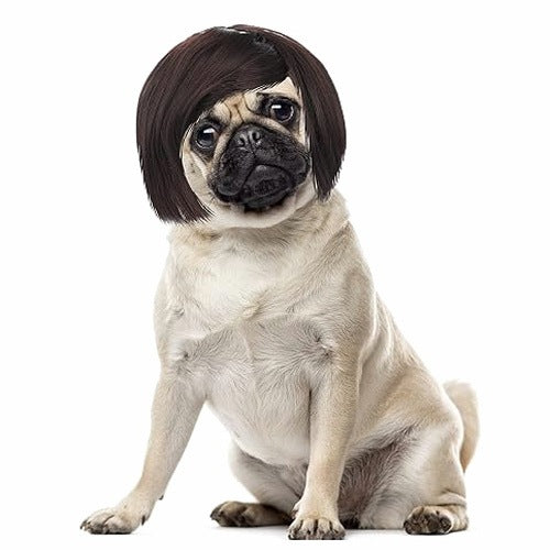 DOG AND CAT WIG FUN COSPLAY ADJUSTABLE FOR Birthday Gift