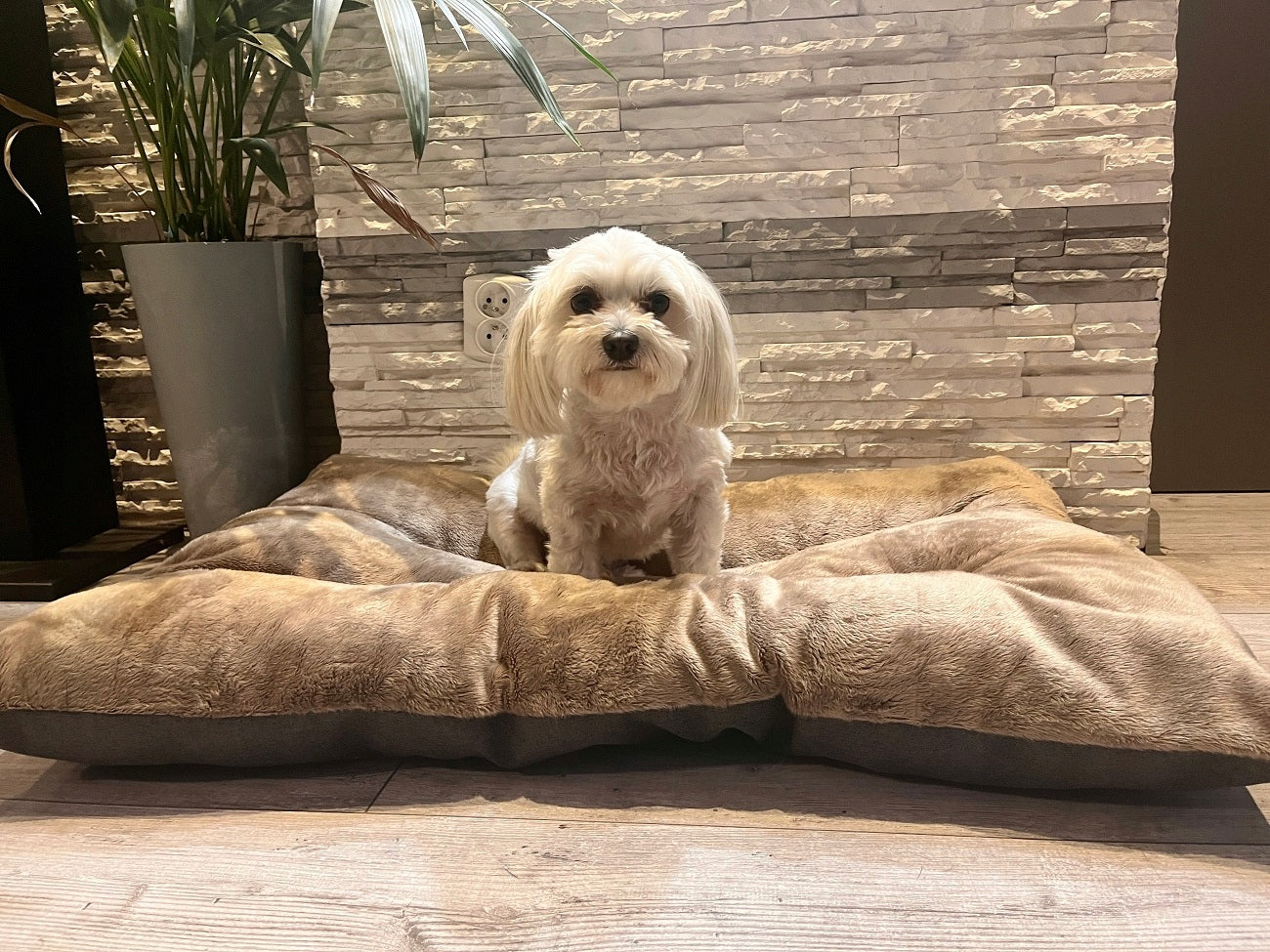 DOG BED SOFT BED WATERPROOF NON-SLIP PLAYPEN 60x90cm Trade name Legowisko dla psa