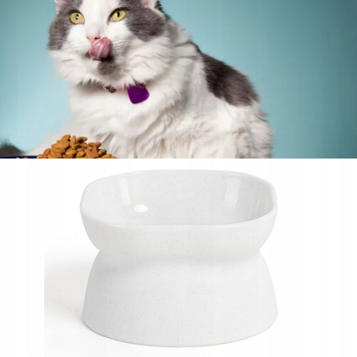 DOG BOWL ON STAND RAISED HIGH CAT BOWL WATER WHITE Manufacturer code 211123001801199