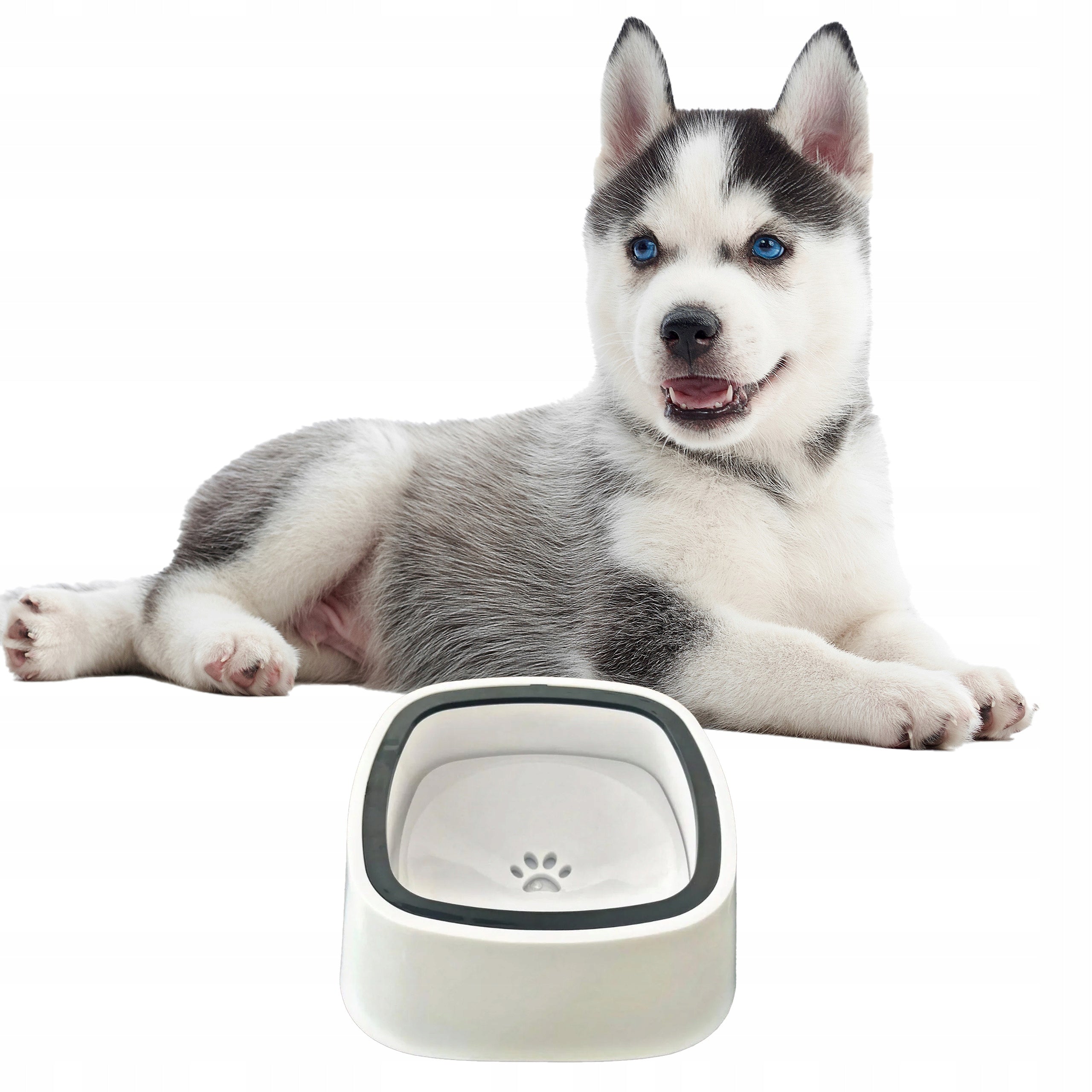 DOG BOWL SPLASH-FREE CAT WATER SPLASH 1,5L LARGE 1500ml Brand no brand