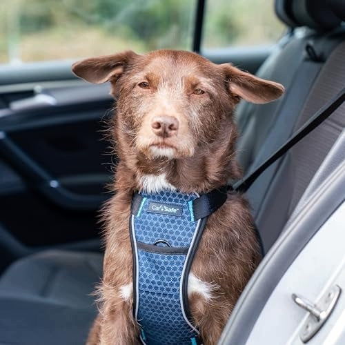 DOG CAR HARNESS CRASH TESTED SIZE S Size other
