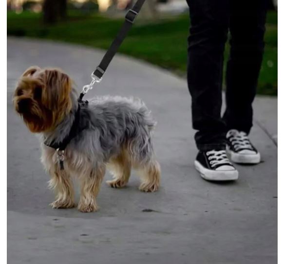 DOG CAR LEASH CAR SEAT BELT WITH ADJUSTABLE HEADREST Kind for car