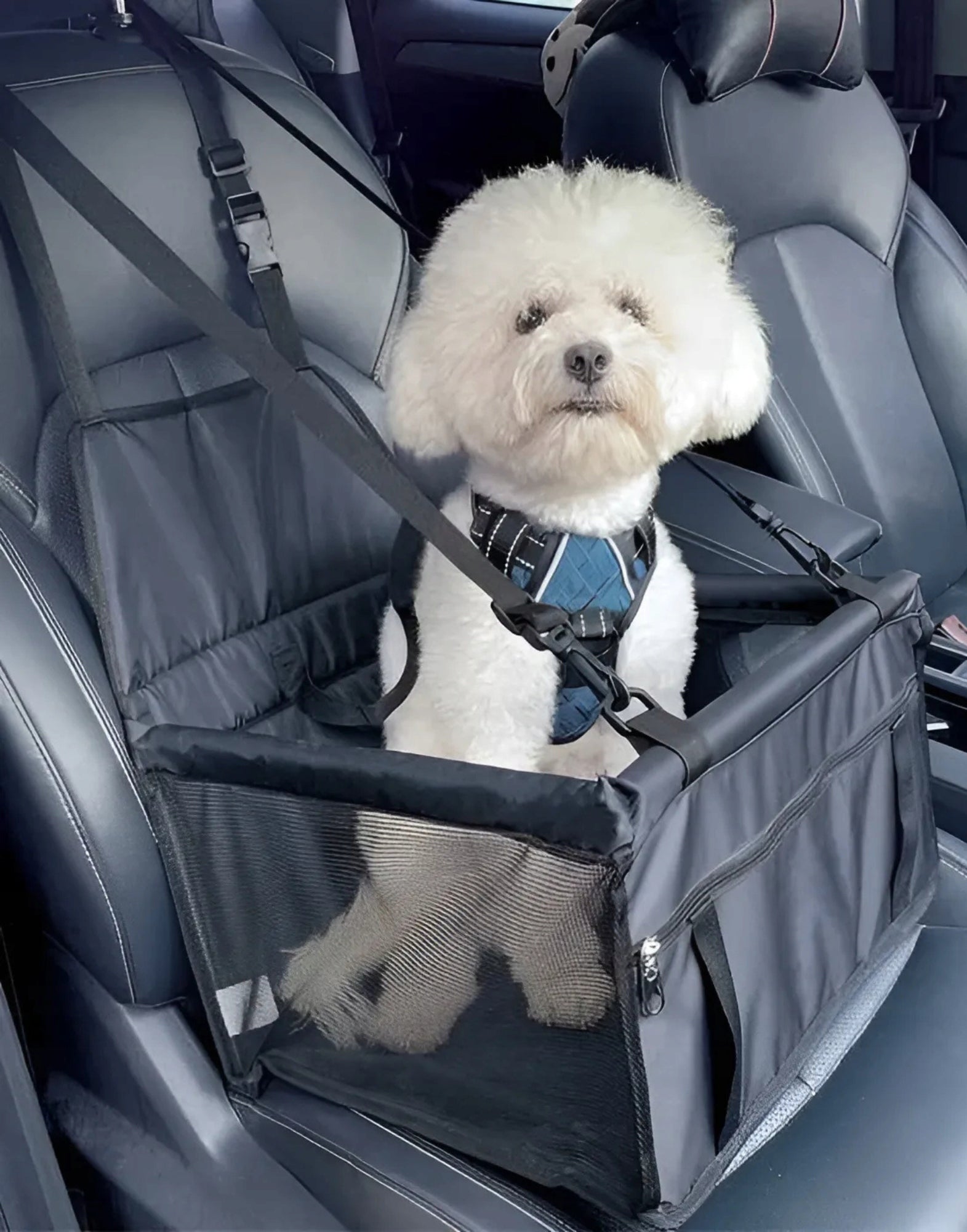 DOG CARRIER CAR SEAT BAG CAR SEAT EAN (GTIN) 4058569440795