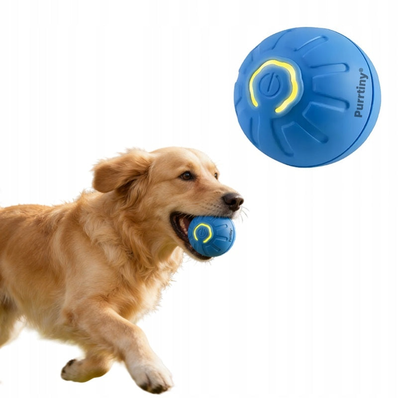 DOG CAT BALL AUTOMATIC INTERACTIVE ESCAPE SMART FUN