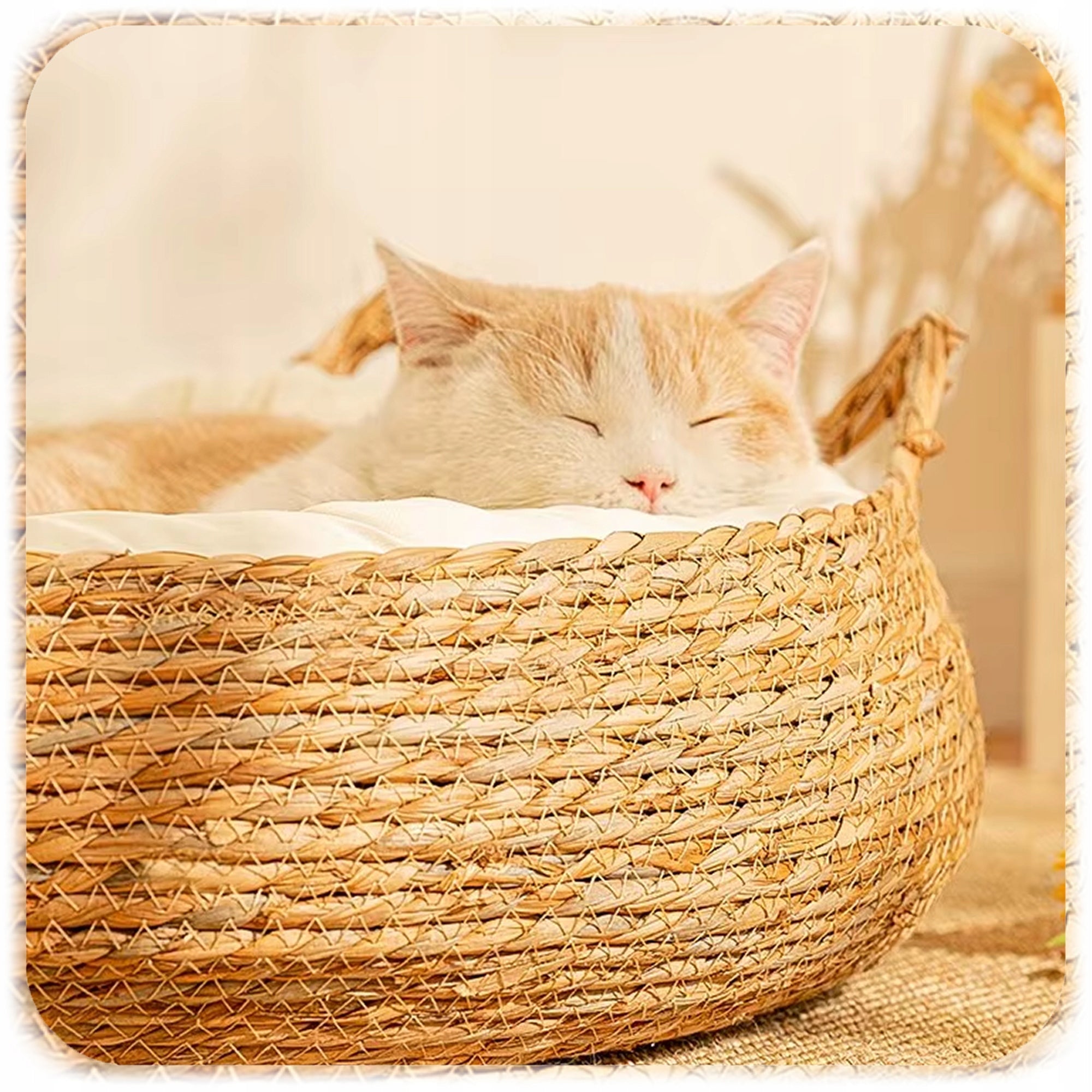 DOG CAT BED BRAIDED COUCH PLAYPEN ROUND 48 CM + PILLOW MAT Product width 40 cm