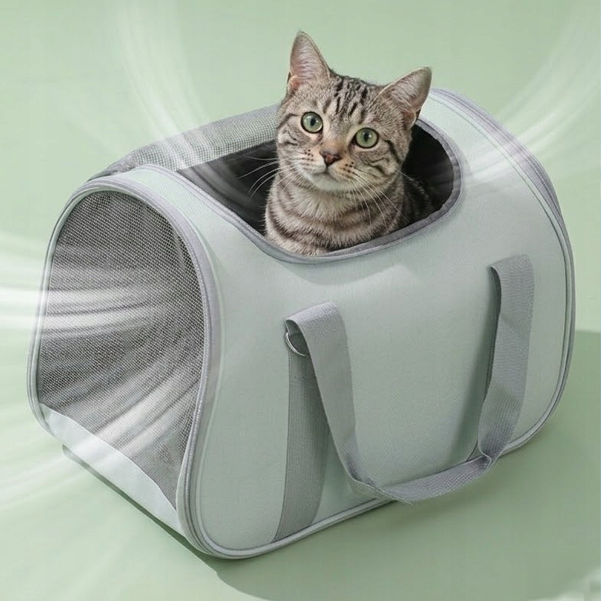 DOG CAT CARRIER M CARRY BAG TRAVEL INSERT STURDY Kind carrier