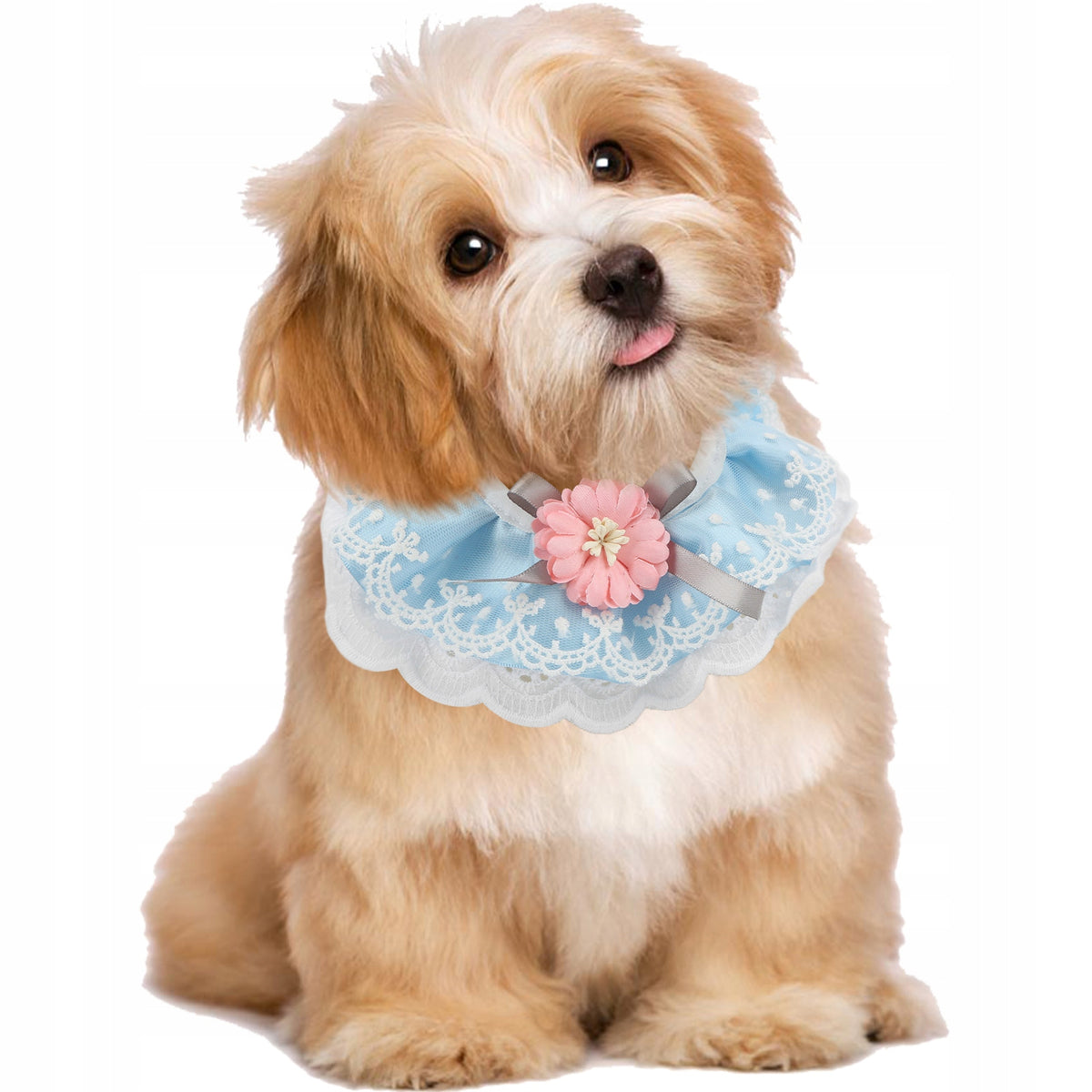 DOG CAT COLLAR LACE SCARF IN THE SHAPE OF M BLUE
