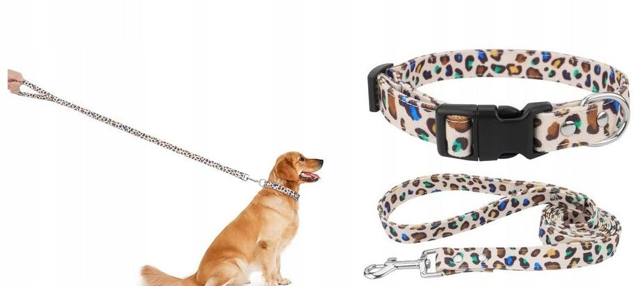 DOG COLLAR CIRCUMFERENCE FROM 21 - 31 CM M + LEASH SET 455