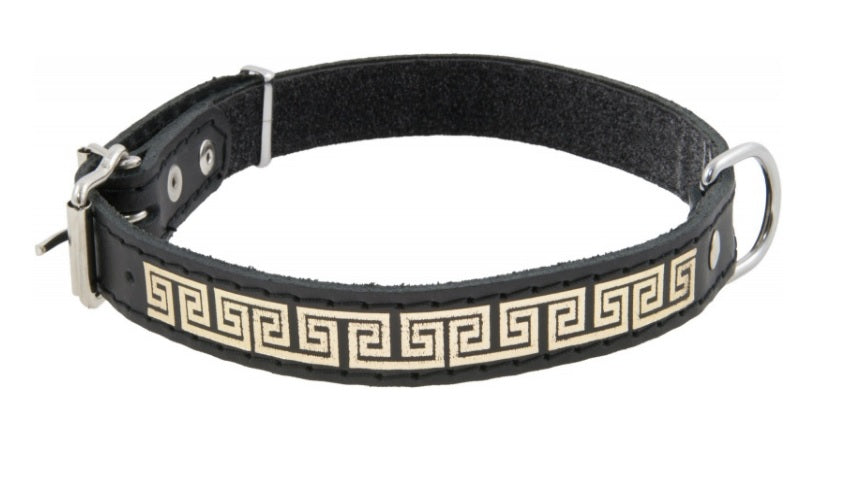 DOG COLLAR, DECORATIVE LEATHER 25 MM/59 CM DINO