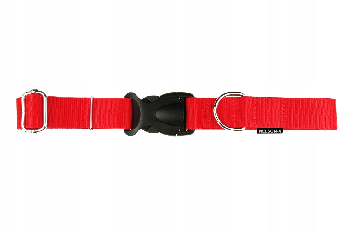 DOG COLLAR FOR SMALL DOG METAL REG 25-35 CM/1,5 CM