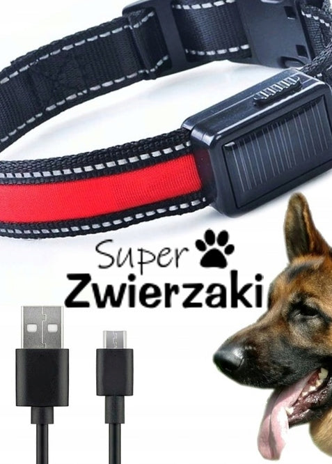 DOG COLLAR GLOWING LED USB + SOLAR PANEL M Manufacturer code OBROŻA.0078