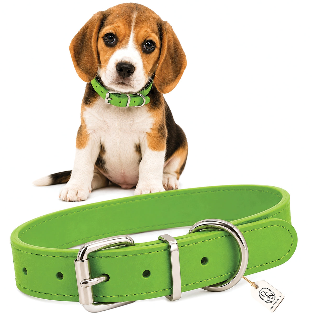 DOG COLLAR GREEN ADJUSTABLE PUPPY SMALL DOG