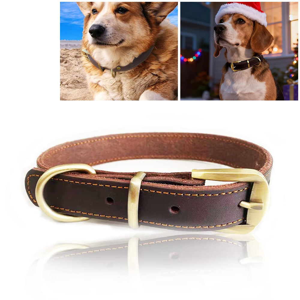 DOG COLLAR LEATHER BROWN STRONG STEEL CATTLE BUCKLE M Manufacturer code AJKSCIIW