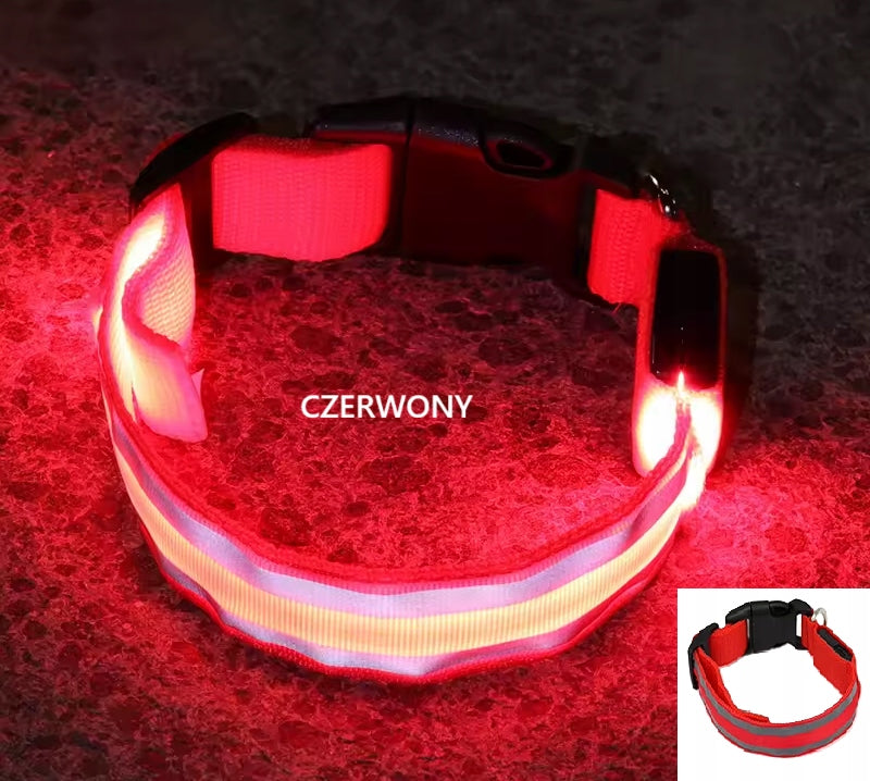 DOG COLLAR LED SIZE S RED ADJUSTABLE SAFETY PROTECTION Packaging status original