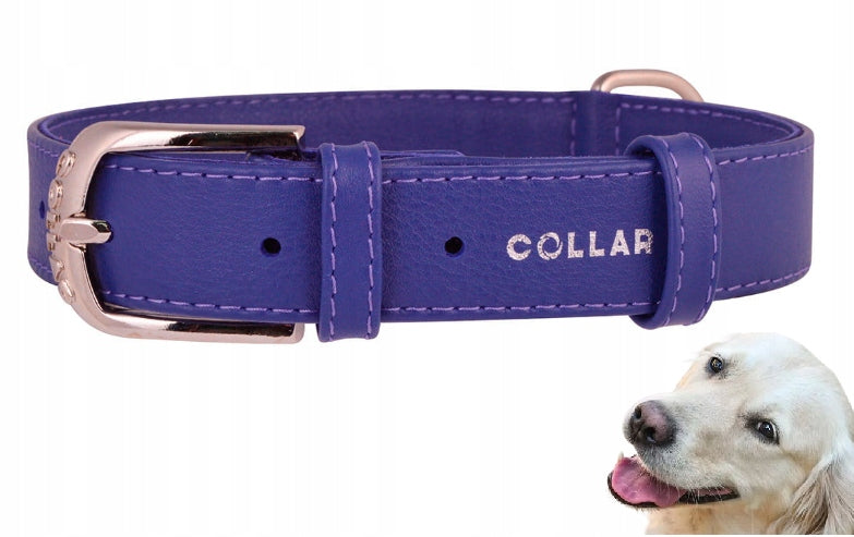 DOG COLLAR MADE OF LEATHER WAUDOG COLLAR 25MM 38-49CM PURPLE STRONG