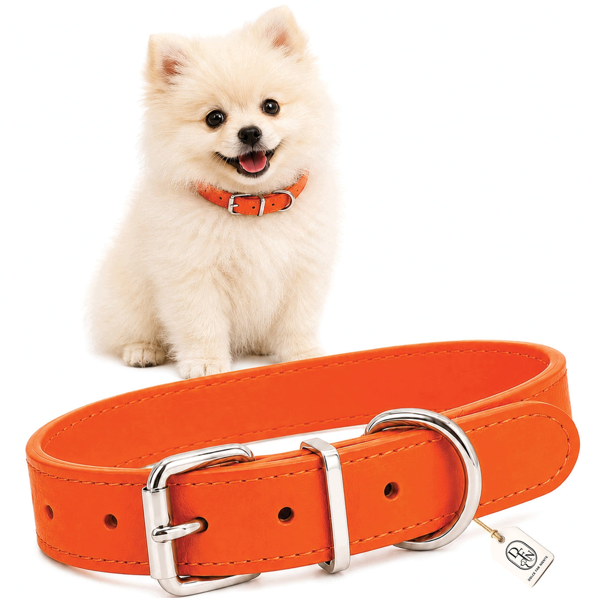 DOG COLLAR ORANGE ADJUSTABLE PUPPY SMALL DOG