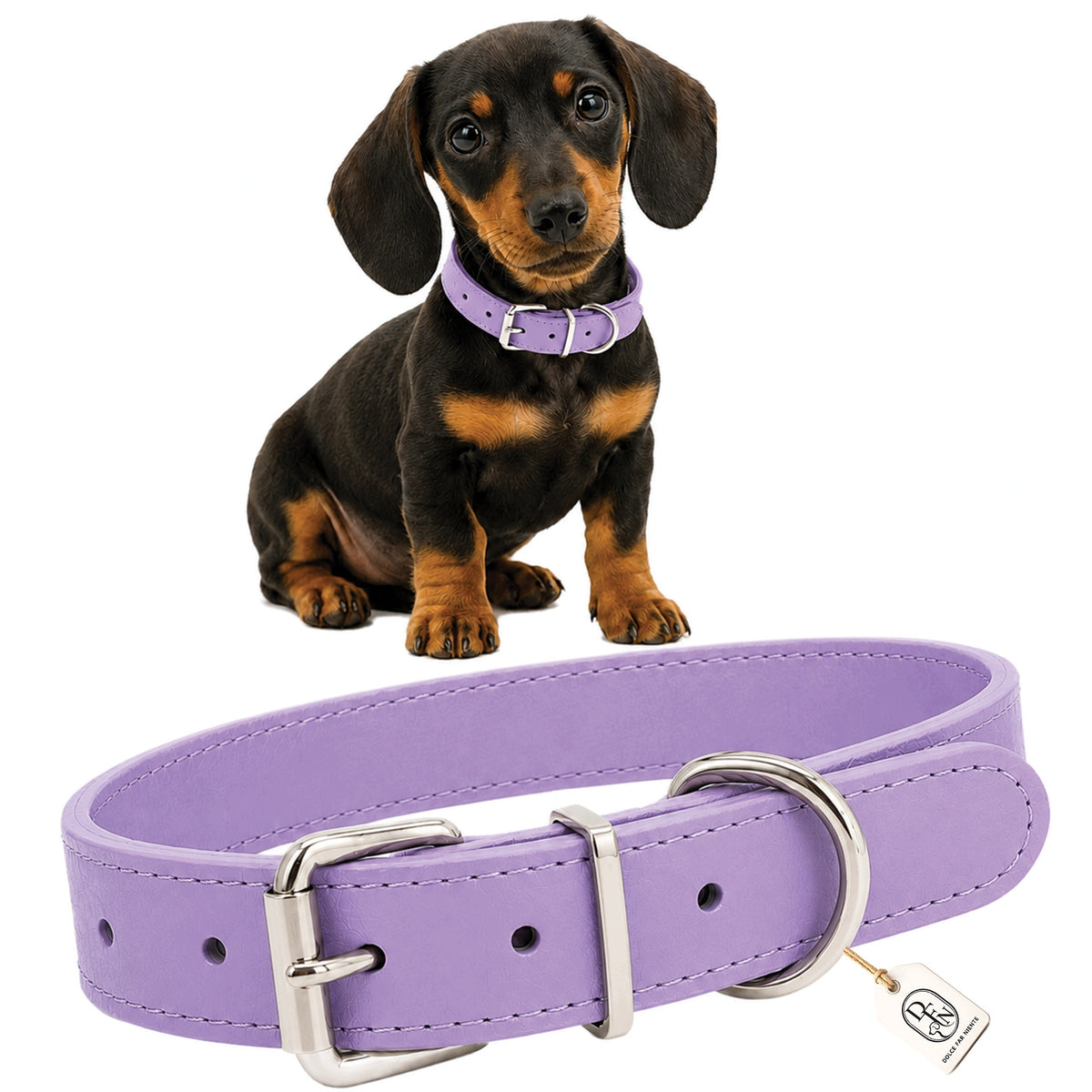 DOG COLLAR POWDER PURPLE ADJUSTABLE PUPPY SMALL DOG