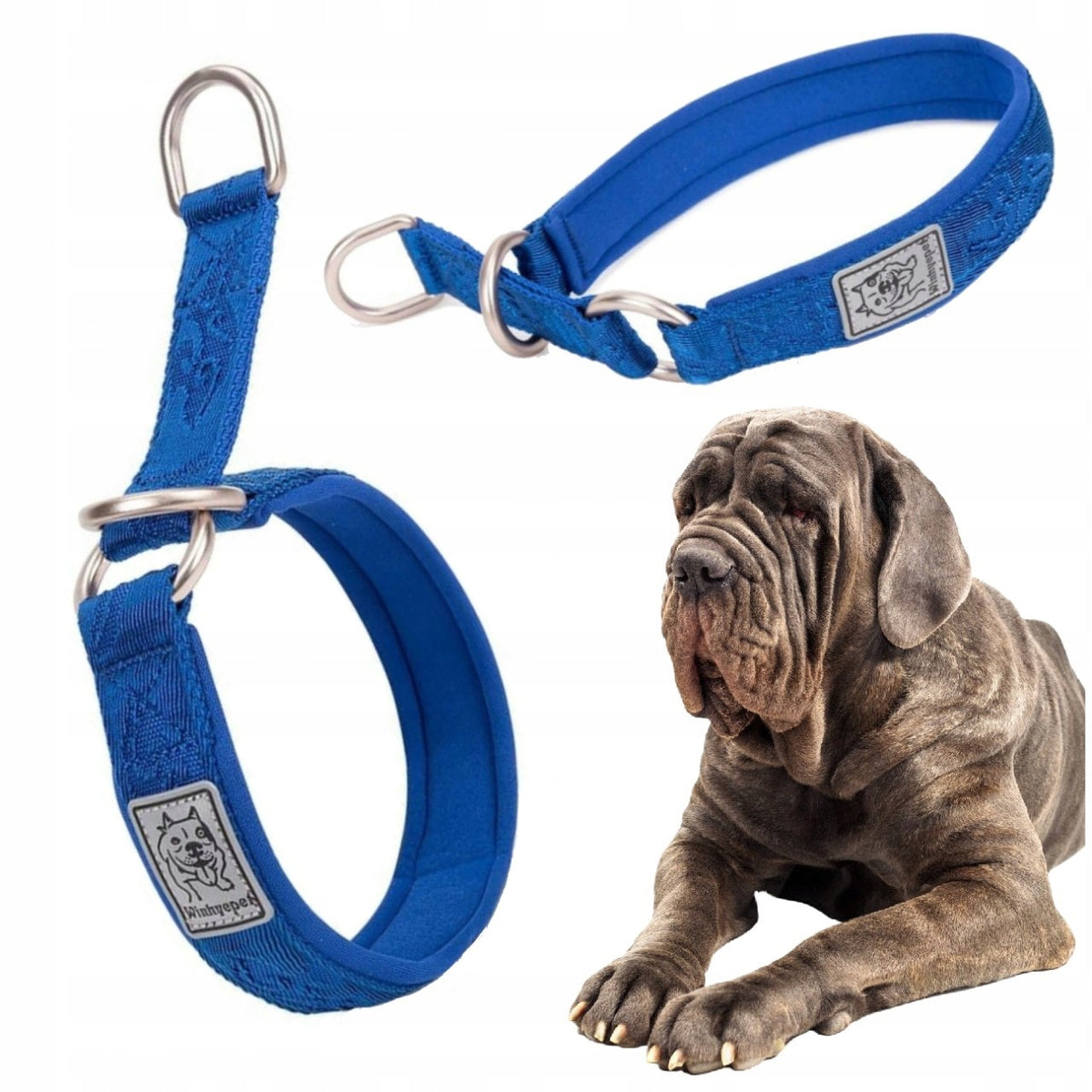DOG COLLAR SEMI-CLAMP SOLID WINHYEPET COMFORTABLE NAVY BLUE 3XL