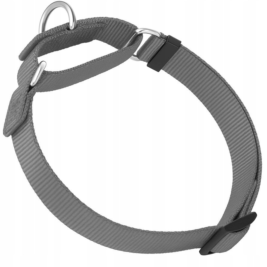 DOG COLLAR SEMI-CLAMP STRONG ADJUSTABLE CLAMP WEBBING 30-45 M Manufacturer code OBR.PZ.TR.M.GREY
