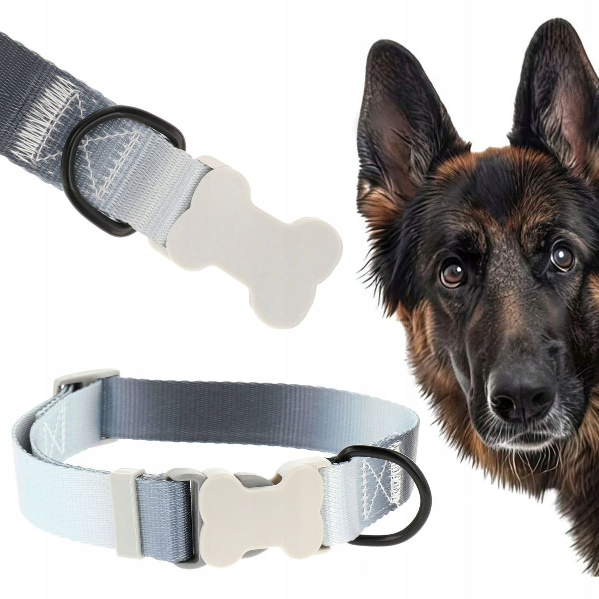 DOG COLLAR SOLID STRONG WEBBING ADJUSTABLE WIDE LARGE DOG BUCKLE Manufacturer code Q240327090