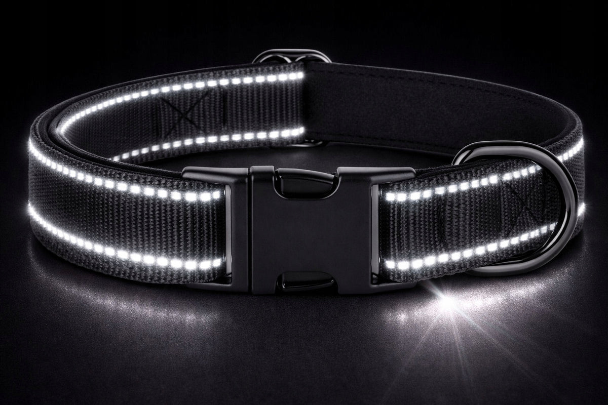 DOG COLLAR Strong REFLECTIVE ID Address + ENGRAVING / Roz. L Manufacturer code PS-O-021-L