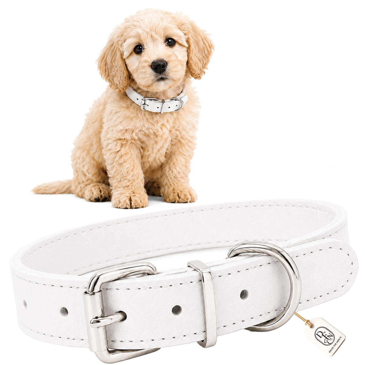 DOG COLLAR WHITE ADJUSTABLE PUPPY SMALL DOG