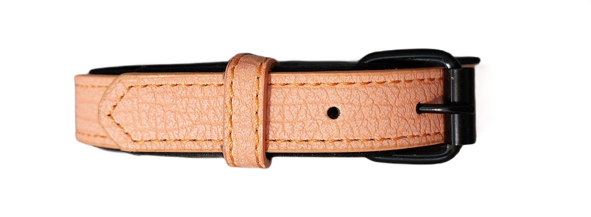 DOG COLLAR WITH FOAM LINING 38-48cm FOR BIG DOG LABRADOR L Packaging status original
