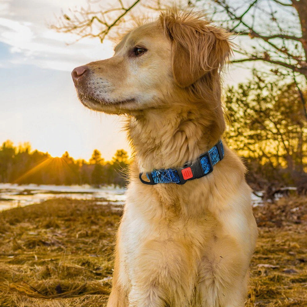 DOG COLLAR WITH UNLOCK MAGIC TREE M Brand Didog