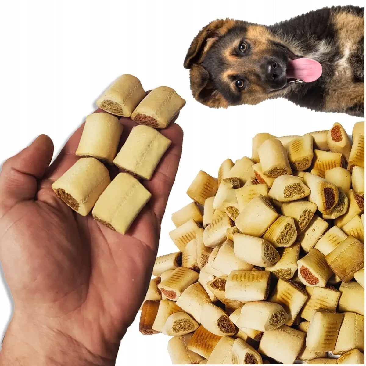 DOG COOKIES PATES Training 1 kg Meat for training
