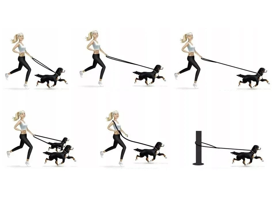 DOG/DOG LEASH TRAINING CLIP-ON ADJUSTABLE TAPE STRONG LONG 5m Manufacturer code SMYCZ PRZEPINANA TAŚMA 5M 2 PSY KARABIŃCZYKI
