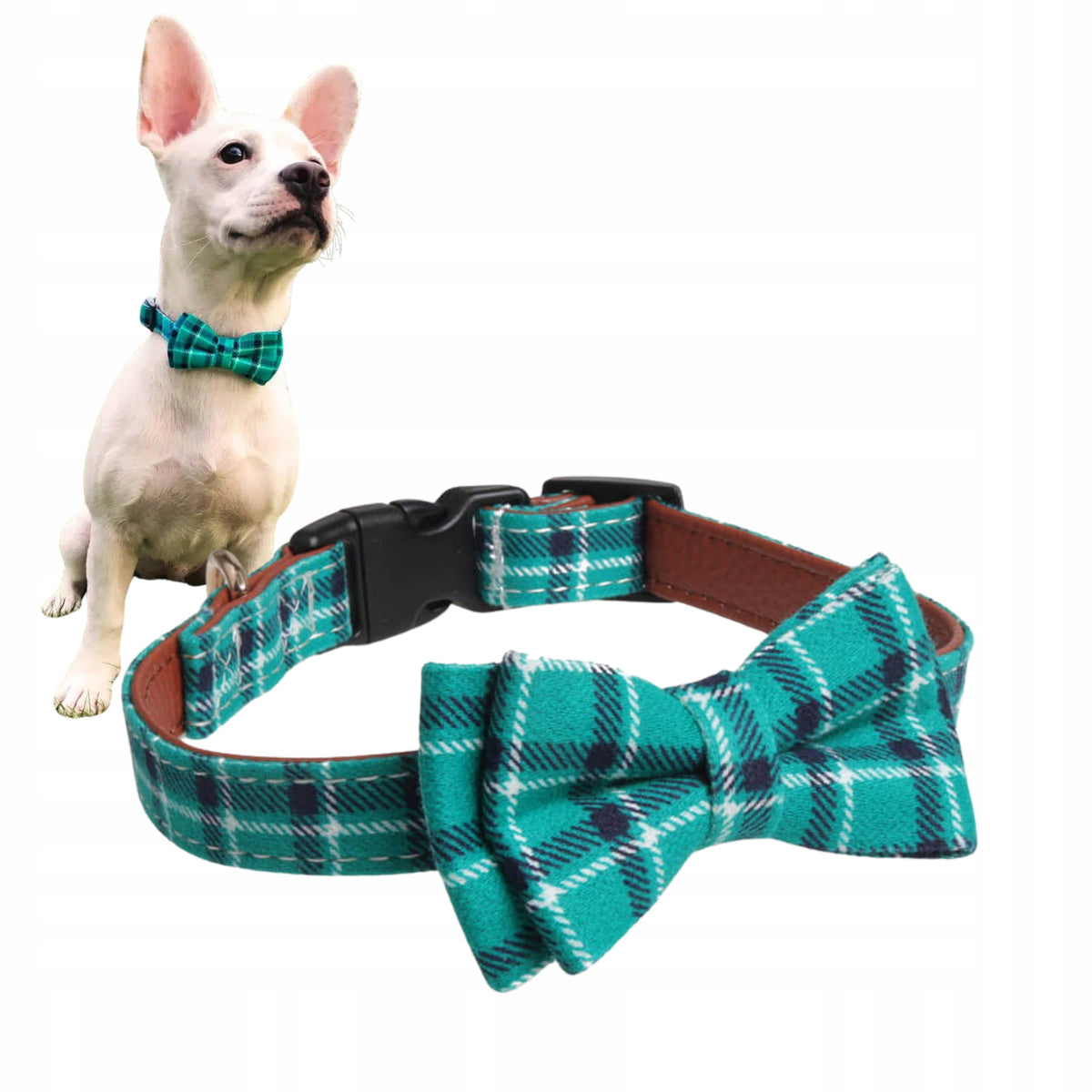 DOG FLY COLLAR DOG FLY BOW GREEN NICO M